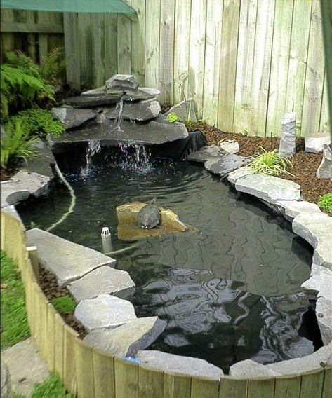 Tartaruga Habitat, Koi Pond Design, Cottage Patio, Turtle Aquarium, Turtle Homes, Taman Air, Turtle Habitat, Pond Garden, Garden Pond Design