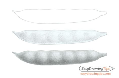 How To Draw Realistic, Bright Highlights, Bean Pods, Draw Realistic, The Light Is Coming, Best Pencil, Shading Techniques, How To Shade, Pencil Shading