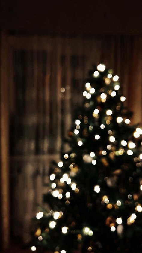 Christmas Bokeh Wallpaper, Bokeh Christmas Lights, Bokeh Lights Photography, Blurred Christmas Tree Background, Classic Christmas Background, Merry Christmas Aesthetic Photo, Christmas Tree Blurry, Christmas Tree Close Up, Christmas Light Aesthetic