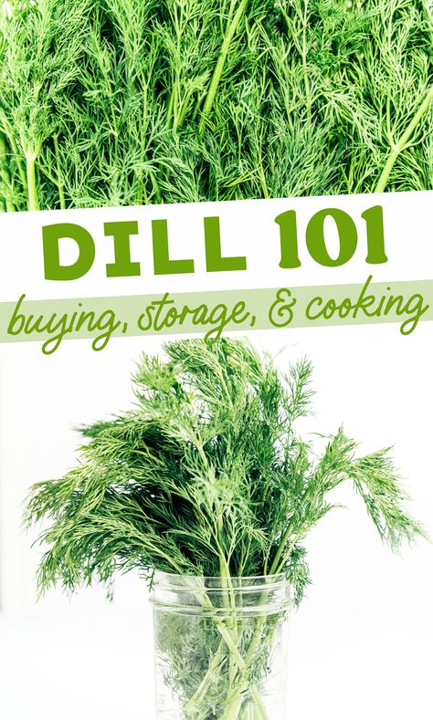 Drying Fresh Herbs, Food Scientist, Healthy Sweets Recipes, Spices And Herbs, Fresh Dill, Food For A Crowd, Healing Herbs, Garden Boxes, Healthy Sweets