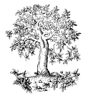 Vintage Tlc: Free Vintage Image Transfer Graphic Apple Tree Drawing, Drawing Trees, Shopkins Colouring Pages, Drawing Apple, Leaf Coloring Page, Fruit Coloring Pages, Heart Coloring Pages, Tree Coloring Page, Watercolor Fruit