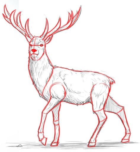 How To Draw Deer, Deer Drawing Easy, Draw Deer, Draw A Deer, Eye Step By Step, Reindeer Drawing, Deer Sketch, Assignment Ideas, Deer Drawing