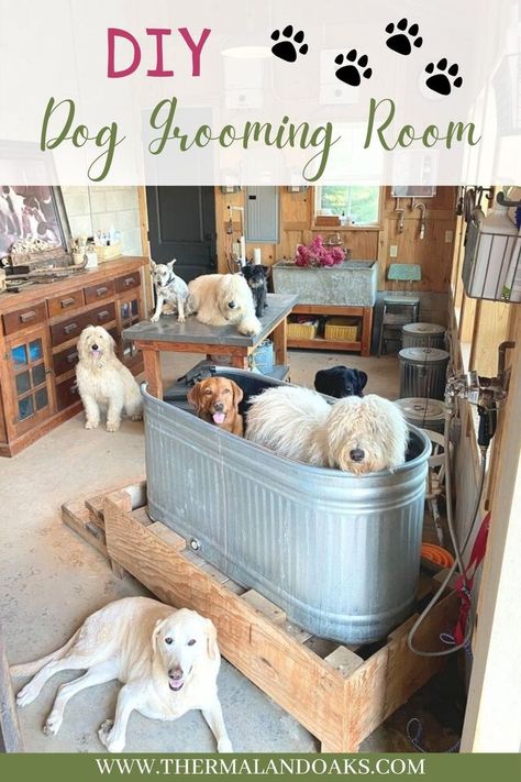 Diy Dog Grooming Station, Dog Grooming Room, At Home Dog Grooming, Dog Grooming Station, Diy Dog Wash, Grooming Room, Dog Wash Station, Grooming Station, Thermaland Oaks