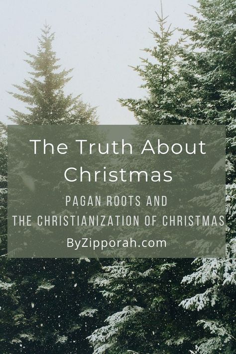 Truth about Christmas and its pagan roots pinterest graphic - Christmas Pagan Holiday, Pagan Christmas Tree, Biblical Christmas, Origin Of Christmas, Christmas Tree Train, Pagan Christmas, Pagan Yule, New Covenant, Bday Party Kids