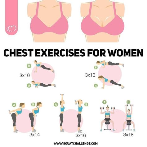 Chest Exercises For Women, Upper Body Workout Routine, Chest Workout Women, Chest Workout At Home, Motivasi Diet, Latihan Dada, Chest Exercises, Exercises For Women, Breast Workout