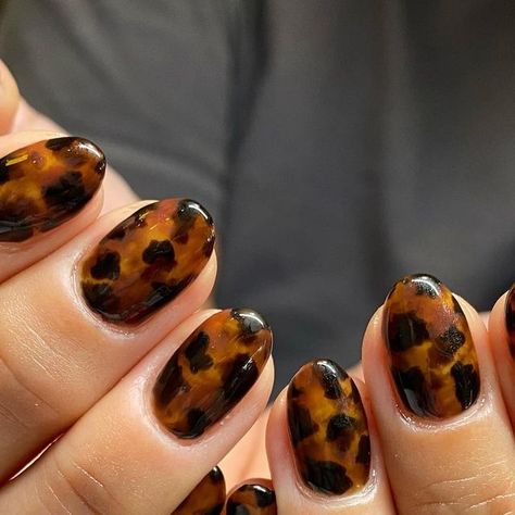 Torrid Shell Nails, Tortoise Gel Nails, Tortoise Shell Gel Nails, Short Tortoise Nails, Tortus Nail Designs, How To Do Tortoise Shell Nails, Tortious Shell Nails, Short Tortoise Shell Nails, Tortoise Nails Tutorial