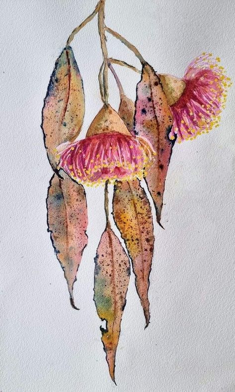 Watercolor Australian Flowers, Gum Leaf Drawing, Watercolour Gum Leaves, Gumnuts And Leaves, Australian Flowers Drawing, Australian Flowers Painting, Australian Native Art, Australian Native Flowers Illustration, Australian Watercolour