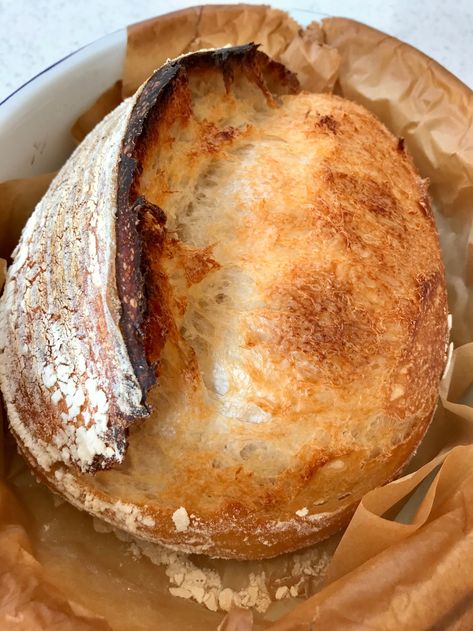 Cold oven baking – The home of great sourdough Oven Bread, Sourdough Loaf, Dutch Oven Bread, Homemade Sourdough Bread, Artisan Bread Recipes, Loaf Of Bread, Sourdough Baking, Sourdough Bread Recipe, Sourdough Recipes