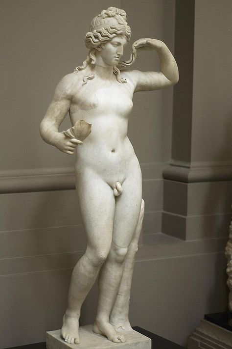 Transgender and Intersex People in the Ancient World - Tales of Times Forgotten Ancient Greek Sculpture, Classic Sculpture, Greek Statues, Ancient Statues, Roman Sculpture, Greek Sculpture, Ancient Sculpture, Lgbt Art, Roman History