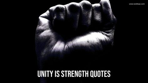 Unity is Strength quotes Unity Quotes People Strength, Unity Is Strength Quotes, Unity Is Strength, Unity Quotes, Stephen Hawking Quotes, Strength Quotes, Wise Person, Theory Of Relativity, Motivational Quotes For Students