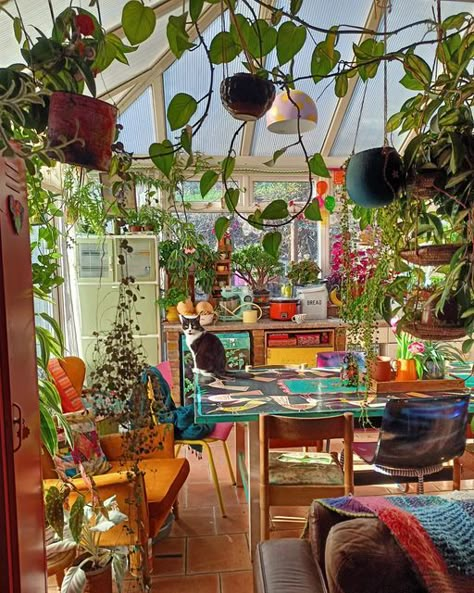 Plant House Aesthetic, Funky Cottage, Seventeen Art, Hippie House, Leather Living Room, Student Apartment, Colorful Apartment, Art Students, Bohemian Lifestyle