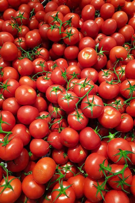 Hybrid tomatoes are available in all shades, shapes, and sizes. There's a perfect tomato out there for everyone. Learn more about the top tomato hybrids and decide which you'll grow in your garden this season. Read more now on Gardener's Path #growyourown #tomato #gardenerspath Tomato Plant, Yellow Gems, Indian Cooking Recipes, Growing Tomatoes, Tomato Plants, Red Fruit, Beef Steak, Indian Cooking, Orange Slices