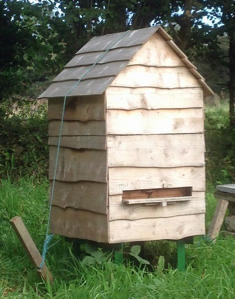 The honey bee can suffer quite badly with the cold in Winter and expends a lot of energy and stores trying to keep the nest temperature up to an accetable level. If the hive is insulated and protected against the weather the bee has to do less work to keep warm and has an overall better chance of survival. The WBC hive does this to a certain extent, but is very expensive to buy and does not normally have good insulation. In this design, the national hive is placed within the 'Bee Cosy&#39... Diy Bee, Bee Hive Plans, Backyard Bee, Beekeeping For Beginners, Raising Bees, Bee Boxes, Bee Hives, Bee House, Bee Farm