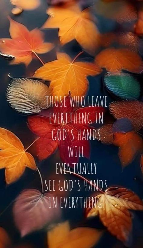 Evening Quotes, Thanksgiving Blessings, Whatever Is True, Thanksgiving Greetings, Spiritual Thoughts, Gods Hand, Blessed Quotes, Prayers For Healing, Little Golden Books