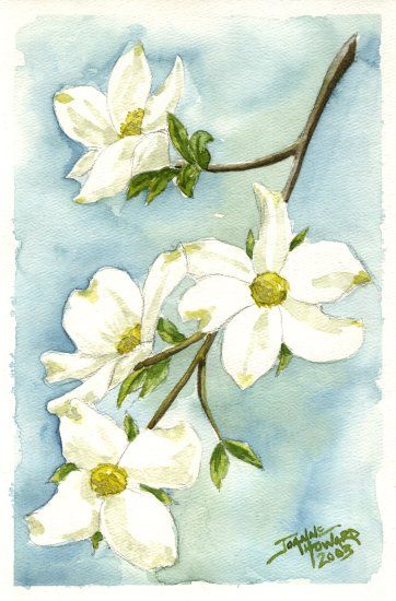 Try this lesson idea! Painting Dogwood Trees, Watercolor Dogwood Flowers Tutorial, Dogwood Tree Watercolor, Dogwood Painting Acrylic, Watercolor Dogwood Flowers, Dogwood Tree Painting, Dogwood Watercolor, Dogwood Wedding, Pacific Dogwood