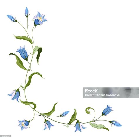 Blue Bell Tattoo, Bluebells Flower Tattoo, Bluebell Tattoo, Bluebell Flowers, Belle Tattoo, Blue Bell Flowers, Blue Bell, Free Vector Art, Design Vector