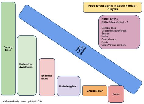Florida Food Forest, Geoff Lawton, Bushes And Shrubs, Northern Florida, Florida Food, Florida Gardening, Beach Bungalow, Backyard Gardening, Forest Plants