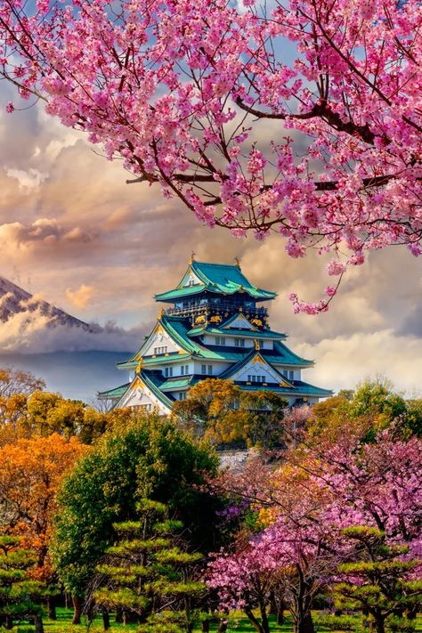 Japan Landscape, Japanese Castle, Japanese Landscape, The Ruins, Japan Photo, Beautiful Landscape Wallpaper, A Castle, Japan Art, Nature Images