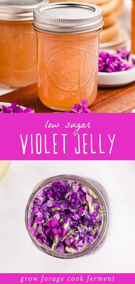 Make wild violet jelly with spring's first magical blooms! This low-sugar flower jelly tastes fruity and lightly floral and looks beautiful. This recipe makes 4-5 half-pint jars of jelly. Lilac Jelly Recipe, Herb Jelly, Violet Jelly, Canning Jelly Recipes, Wild Violet Jelly, Honeysuckle Jelly, Water Bath Canning Recipes, Preserving Vegetables, Pressure Canning Recipes