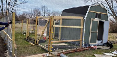 Shed To Chicken Coop Conversion, Shed Chicken Coop Conversion, Duck Run, Shed Conversion, How To Raise Chickens, Chicken Coup, Fence Pickets, Chicken Coop Run, Chicken Tractor