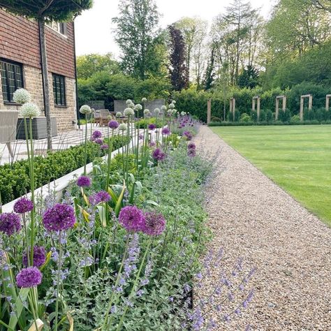 Allium Garden, On A Stick, Flower Plant, A Stick, Contemporary Landscape, Back Garden, Purple And White, Front Garden, Dried Flower