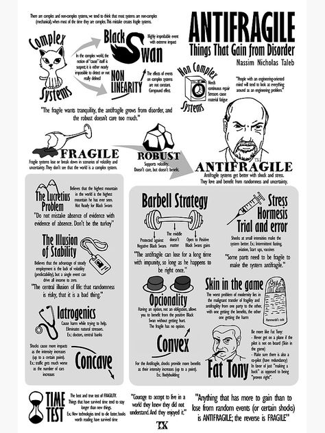 Nassim Taleb, Books Summary, Visual Summary, Visual Poster, Book Infographic, Nassim Nicholas Taleb, Visual Book, Poster Book, Book Poster