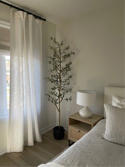 Olive Tree Apartment, Olive Tree Indoor Bedroom, Faux Olive Tree Bedroom, Olive Tree Bedroom Decor, Tree In Bedroom Corner, Olive Tree In Bedroom, Olive Tree In Living Room, White Room Aesthetic Minimal, Olive Tree Decor Ideas