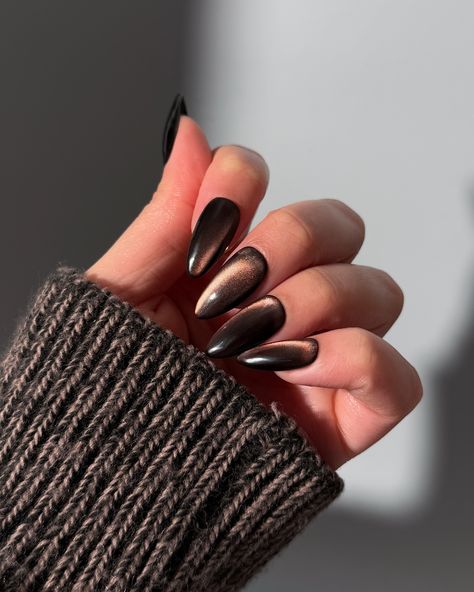 Happy Turkey Day 🦃 so grateful for all of you 🤎 What would you call these glass nails? Cinnamon? Jelly Brown? Let me know below! Products used: @gelcare.official Patent Leather Black, Jelly Brown Bevimee - Silver Cat Eye • use code: THECOLORNOOK to save @nominal #gelcare #lemanoir #gelnails #brownnails #cinnamonglassnails #glassgelnails #glassnails #trendynails #nailartist #gelx #cateyenails cat eye gelx glass nails jelly brown chocolate Black Gold Cat Eye Nails, Gold Cat Eye Nails Design, Tigers Eye Nails Design, Bronze Cat Eye Nails, Chocolate Cat Eye Nails, Brown Holographic Nails, Brown Cat Eye Nails Design, Brown Glass Nails, Gold Velvet Nails