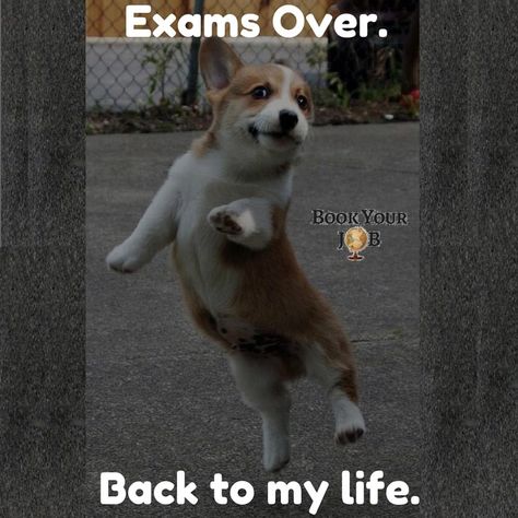 Exams Over.....  🤣🤣🤣 Visit us at www.bookyourjobs.com. #class #student Exam Is Over, Exams Are Over, Exam Over, Exam Memes, Exams Memes, Ending Quotes, First Youtube Video Ideas, Video Ideas, Youtube Video