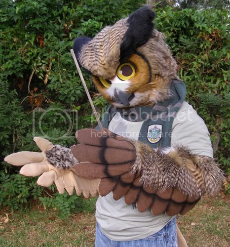 Owl Fursuit, Bird Fursuit, Northern Spotted Owl, Owl Wings, Owl Mask, Owl Costume, Bird Costume, Animal Costumes, Great Horned Owl