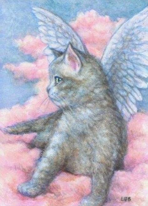 Gato Angel, Angel Cats, Angel Cat, Kitty Art, Cats In Art, Cats Art, Pet Loss, Kitty Cats, Beautiful Cats