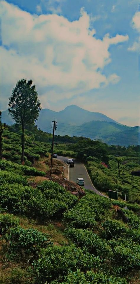 It has the mesmerizing view of clouds with beautiful mountains and tea plantations . Munnar Hill Station, Kerala Tourism, Munnar, Profile Pictures Instagram, Indian Aesthetic, Hill Station, Profile Pictures, Kerala, Desi