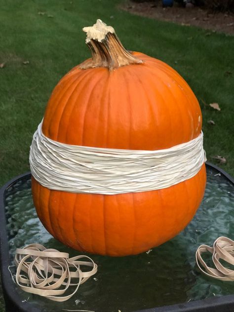 Pumpkin Hunt Ideas, Exploding Pumpkin Experiment, Fall School Age Activities, Pumpkin Olympics, Pumpkin Patch Activities For Kids, Quests Ideas, Pumpkin Explosion, Pumpkin Launcher, Pumpkin Throwing Up