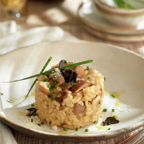 RISOTTO DE BOLETUS CON TRUFA. Food Presentation Plates, Chicken Risotto, Food Plating Techniques, Mushroom Risotto, Chicken Salad Recipes, Culinary Arts, Food Decoration, Italy Wedding, Food Presentation