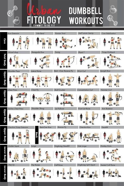 "Bowflex SelectTech 552 Dumbbells are the ultimate fitness secret weapon. Achieve your goals faster and save space while you're at it! 🚀💪" Dumbbell Workout Chart, Perfect Workout Routine, Darebee Workout, Dumbbell Workout Routine, Dumbbell Workout Plan, Dumbbell Exercise, Dumbbell Workout At Home, Workout Template, Full Body Dumbbell Workout