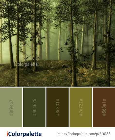 Color Palette Ideas from Ecosystem Forest Woodland Image Color Palette Ideas, Colors Inspiration, Nature Background Images, Forest Color, Color Schemes Colour Palettes, Palette Ideas, Nature Color Palette, Green Colour Palette, Color Palette Design