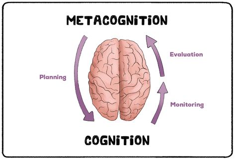 Metacognition | Cognitive Psychology | Practical Psychology Practical Psychology, Jean Piaget, Cognitive Psychology, Group Study, Page Borders Design, Borders Design, Funny Shirts Women, Cognitive Development, Negative Self Talk