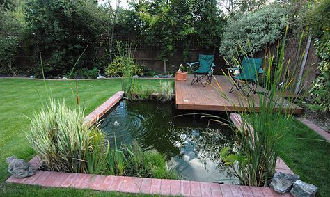 Kleiner Pool Design, Patio Lanterns, Fish Pond Gardens, Compound Wall Design, Garden Pods, Backyard Garden Diy, Aquatic Garden, Pond Waterfall, Pond Water Features