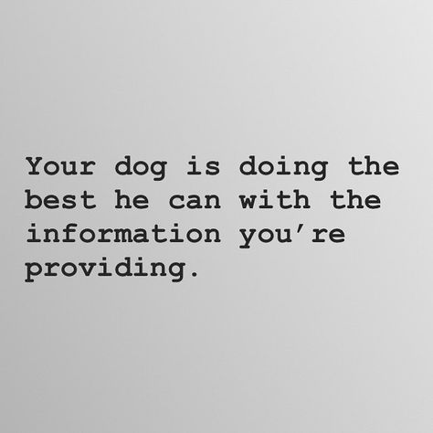 Dog Quotes Love, Crazy Dog Lady, Puppy Stuff, Crazy Dog, Dogs Of The World, Animal Quotes, Dog Quotes, Dog Care, Dog Life