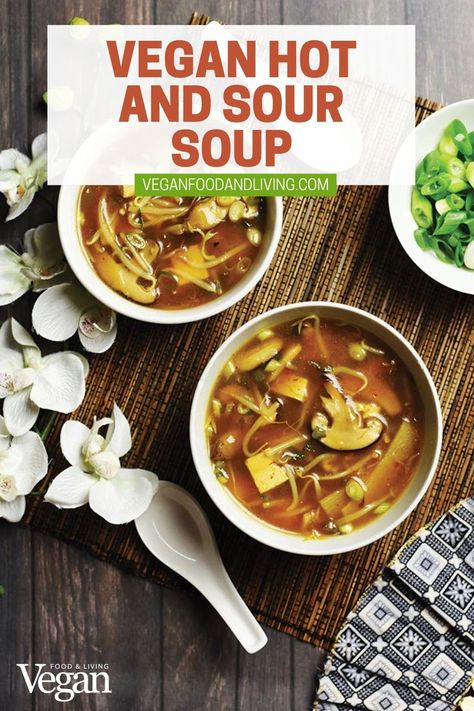 Vegan Hot and Sour Soup Hot And Sour Soup Recipe Vegetarian, Vegan Hot And Sour Soup Recipe, Vegan Hot And Sour Soup, Hot N Sour Soup, Hot And Sour Soup Recipe, Sour Soup Recipe, Hot Sour Soup, Tofu Soup, Vegetarian Soup Recipes