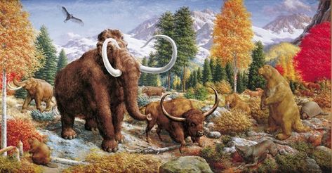 Prehistoric World, Wooly Mammoth, Extinct Animals, Prehistoric Creatures, Ice Age, Prehistoric Animals, Giza, Wildlife Art, Mammals