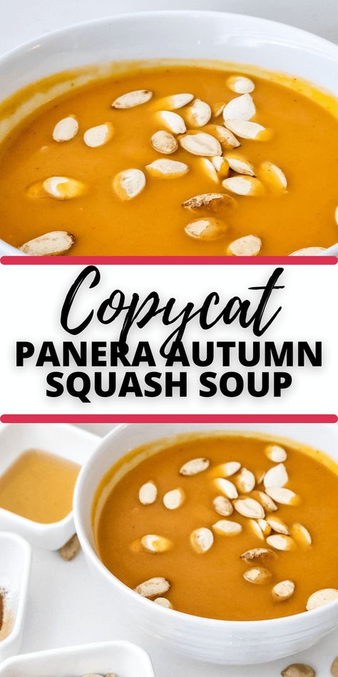 Squash Soup Panera, Panera Autumn Squash Soup Recipe, Panera Squash Soup, Autumn Squash Soup Recipe, Autumn Squash Soup, Panera Autumn Squash Soup, Yellow Squash Soup, Harvest Soup, Panera Copycat