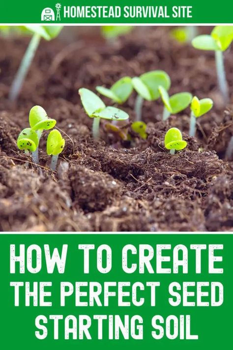 Creating the perfect seed starting soil is essential for successful germination. Learn the key components and steps to create the ideal soil. Hydroponics Gardening, Homestead Lifestyle, Seed Growing, Seed Starting Soil, Homemade Bisquick, Bucket Gardening, Planting Tips, Seed Starting Mix, Gardening Projects