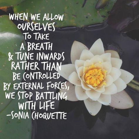 Sonia Choquette, Yoga Thoughts, Sixth Sense, Flower Therapy, Take A Breath, So True, Creative Writing, Great Quotes, The New York Times