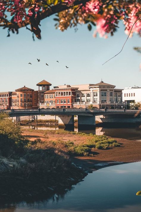 Downtown Napa is the perfect destination to explore on foot. Visitors will find a slew of tasting rooms, local breweries, boutiques, restaurants, and more spanning several buzzy blocks, and you can spend an entire day strolling around and exploring the many new additions. PC: @seth.danielj Downtown Napa, Local Brewery, Tasting Room, Napa Valley, The River, Things To Do, California, Restaurant, Concert