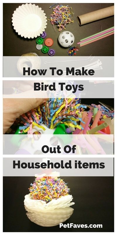 Bird toys can get expensive to buy. Save money by making your own toys. See how you can use items you have around the house to make a fun toy for your parrot. | #parrot #parrottoy #petdiy Homemade Bird Toys, Diy Parrot Toys, Parakeet Care, Diy Bird Cage, Cockatiel Toys, Parakeet Toys, Budgie Toys, Diy Bird Toys, Parakeet Cage