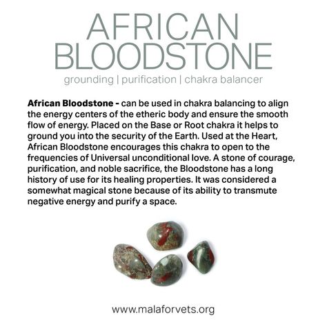 Bloodstone Meaning, Stones Meanings, Rock And Minerals, African Bloodstone, Gemstones Chart, Etheric Body, Magical Stones, Red Tiger, Crystals Healing Properties