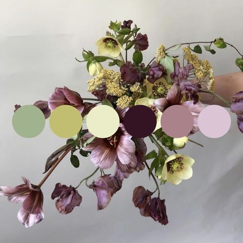 Flower Arrangements Color Palettes, Floral Bouquet Color Palette, Wedding Pallettes Colors, Wedding Floral Color Palettes, Dried Flowers Color Palette, Moody Floral Color Palette, Flower Arrangement Color Palette, Wedding Color Schemes August, Bridal Color Palette