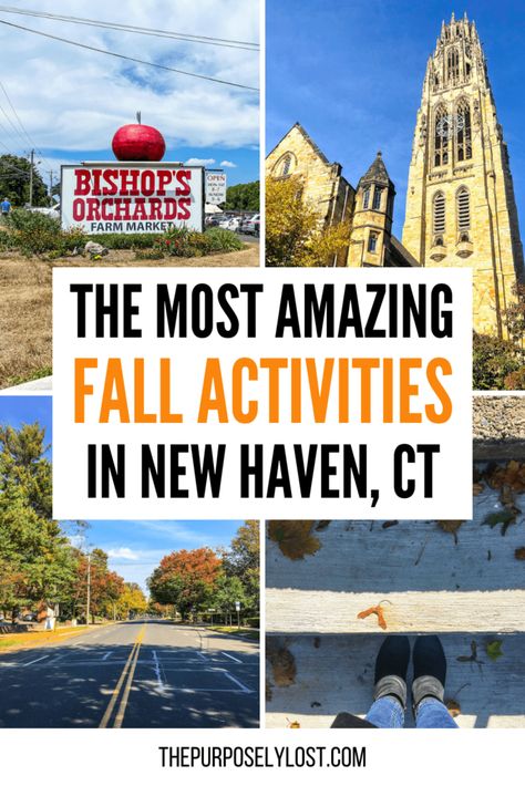 This is a pin image with 4 pictures of different fall things to do in New Haven. The text reads The Most Amazing Fall Activities in New Haven, CT. New Haven Connecticut Fall, Things To Do In New Haven Ct, Connecticut Fall, Fall Foliage Trips, Autumn Things, Connecticut Travel, New Haven Connecticut, New Haven Ct, Fun Fall Activities