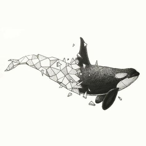 Geometric Orca Tattoo, Orca Art, Orca Tattoo, Whale Drawing, Whale Tattoos, Kerby Rosanes, Shark Tattoos, Geometric Tattoos, Drawing Animals